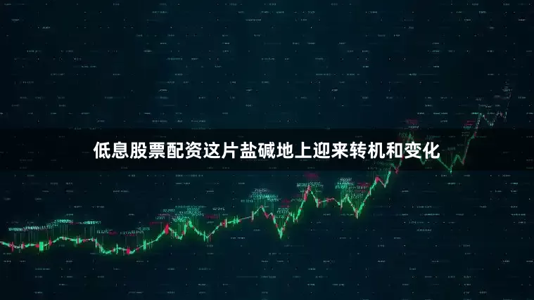 低息股票配资这片盐碱地上迎来转机和变化
