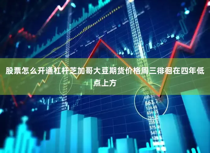 股票怎么开通杠杆芝加哥大豆期货价格周三徘徊在四年低点上方