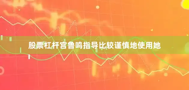 股票杠杆宫鲁鸣指导比较谨慎地使用她